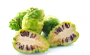 诺丽是否能够直接生吃？