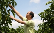 缔造新商业的文明时代——走近溪地阳光，走近张学斌