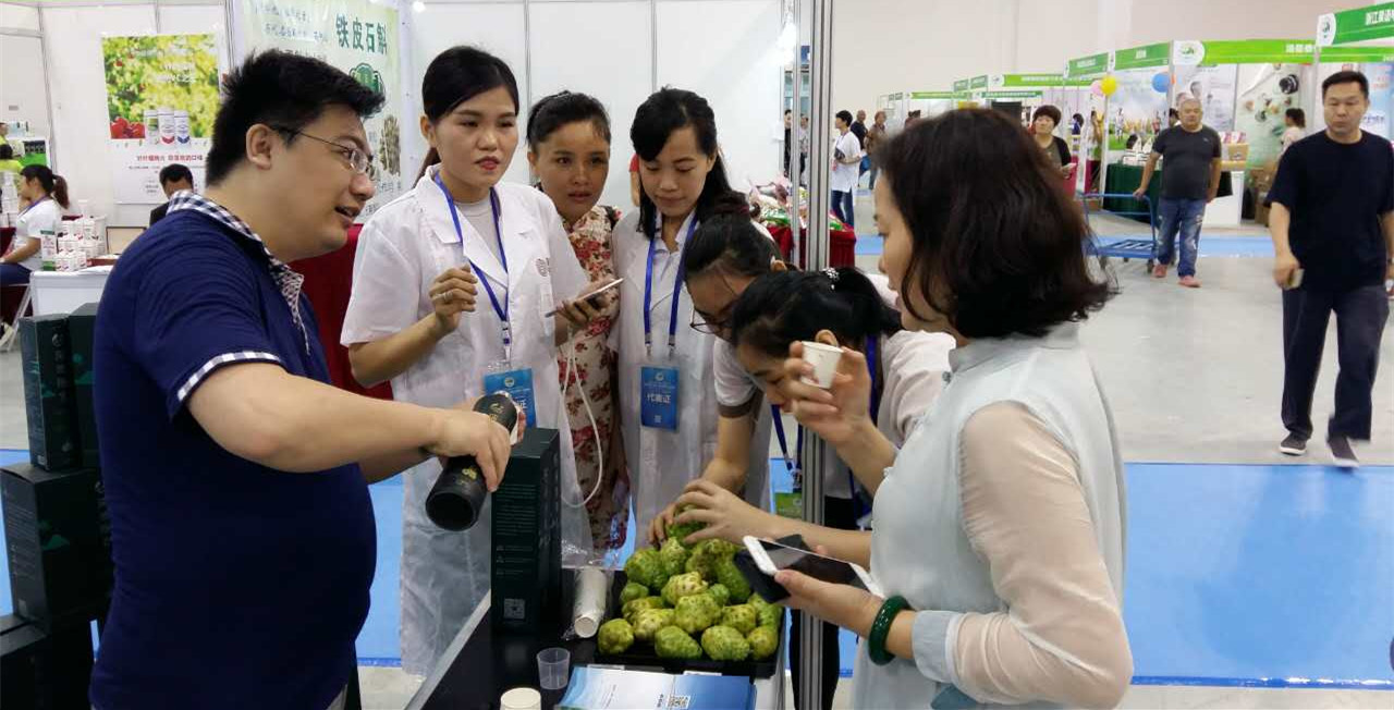 溪地阳光