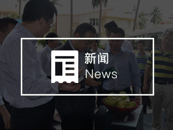 新闻